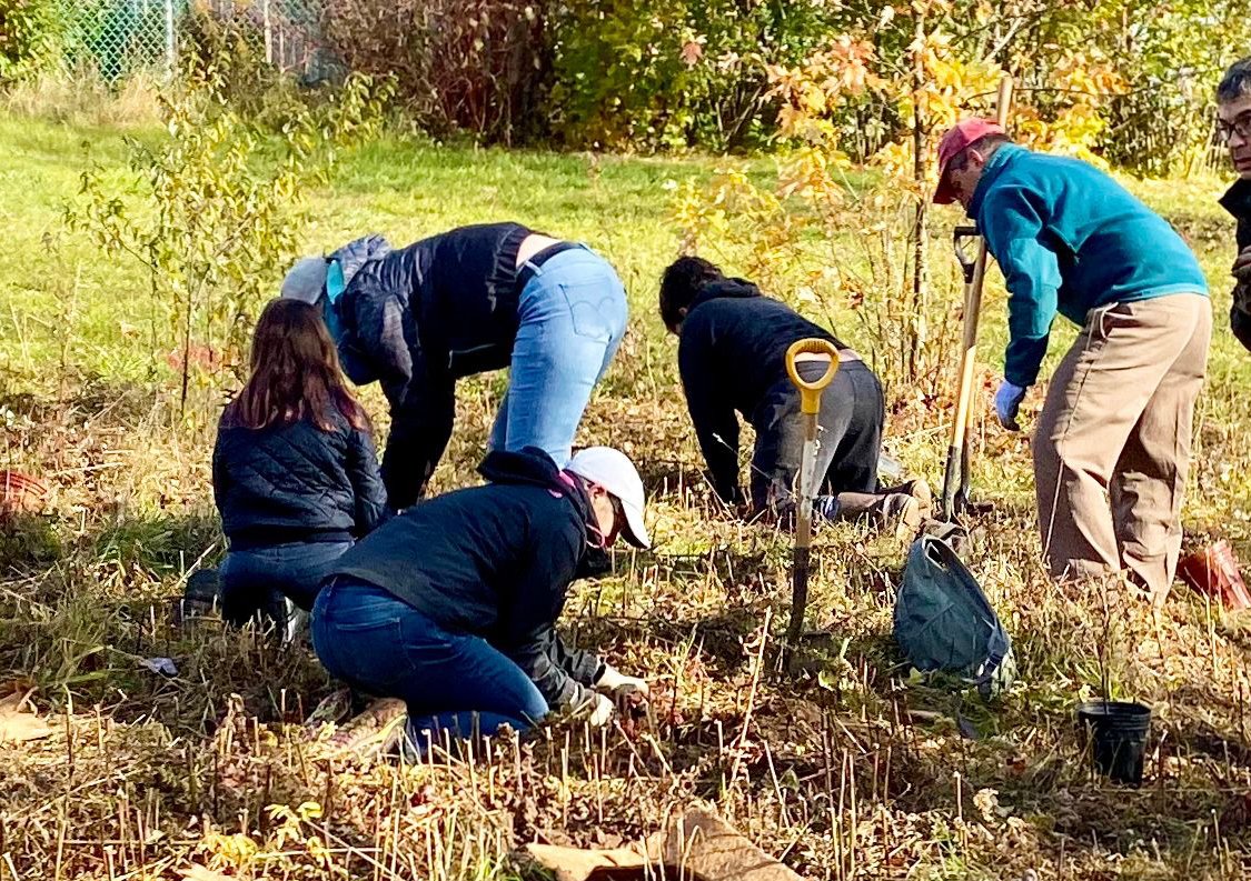 A group of people planting trees